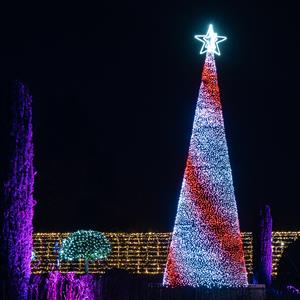 Northampton Winter Light Trail - Standard