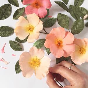 Wild Rose Paper Flower Workshop