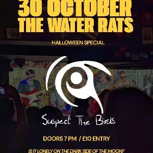 Suspect The Birds - The Halloween Special