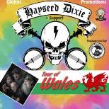 HAYSEED DIXIE + SUPPORT