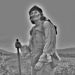 The Worm - album launch gig for new album Pantilde