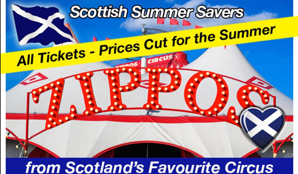 Zippos Circus : Ayr