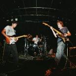 VAN QUAN / Stonnythedonny / Dahlia's Comet