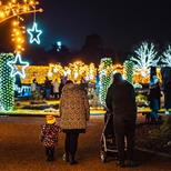 Trentham Winter Light Trail