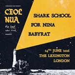 CEOL NUA
