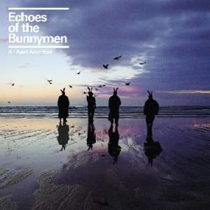 Echoes Of The Bunnymen