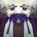 The Devil & The Universe