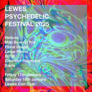 Lewes Psychedelic Festival 2025