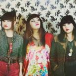 An Experiment On A Bird In The Air Pump