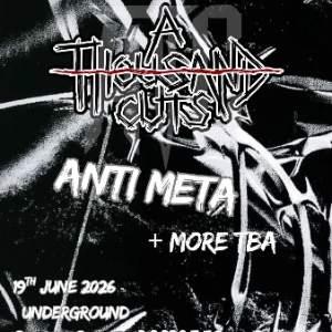 A THOUSAND CUTS