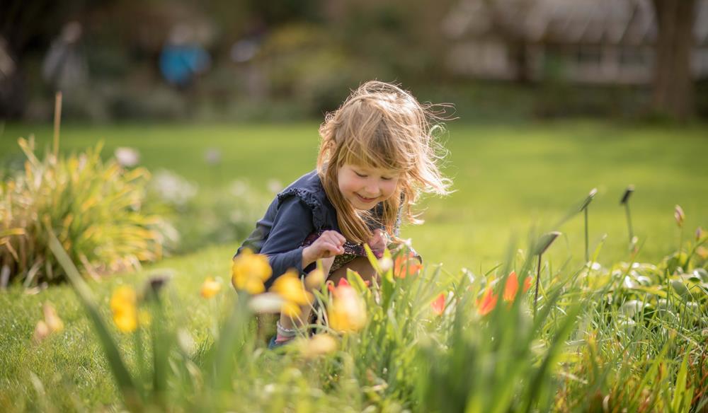 Family: Bugs and Bees Exploration