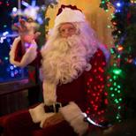 Tropical Birdland'S Daytime With Santa