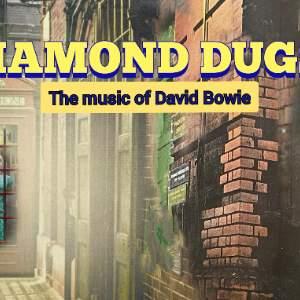 Diamond Dugs
