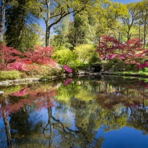 21st Century ABBA - Exbury Gardens 21st Century ABBA - Exbury Gardens