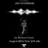 Joy Diversion