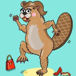 Grey Beaver