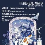 Herbal Mafia 20th birthday part 3