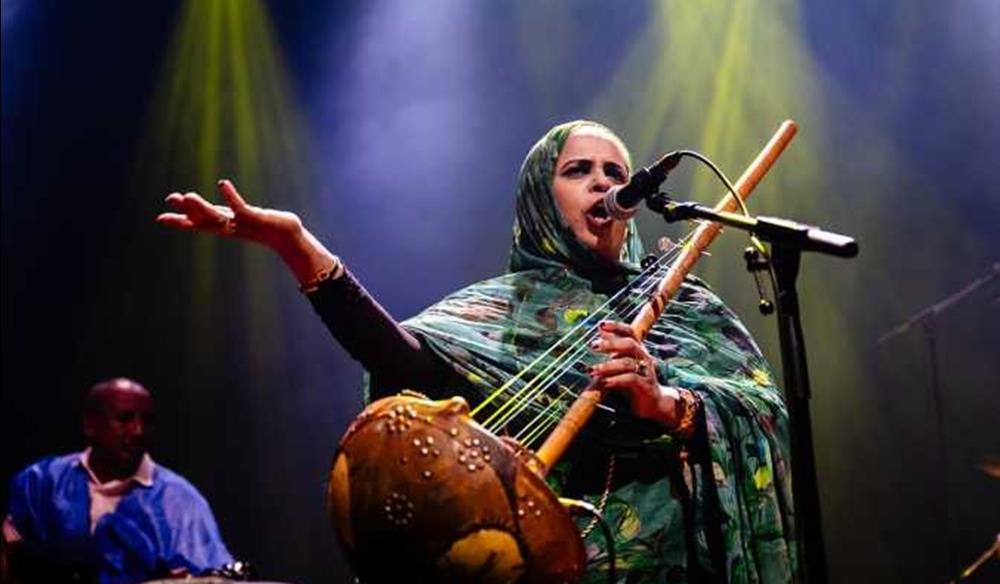 Noura Mint Seymali