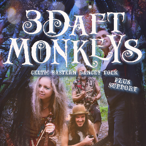 3 Daft Monkeys in Appledore!