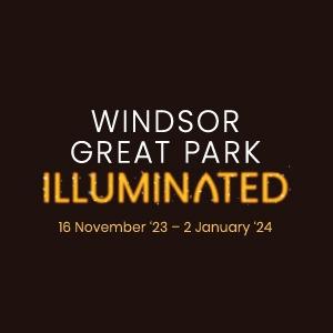 Windsor Great Park Illuminated - Off Peak
