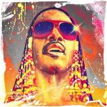 STEVIE WONDER BIRTHDAY PARTY
