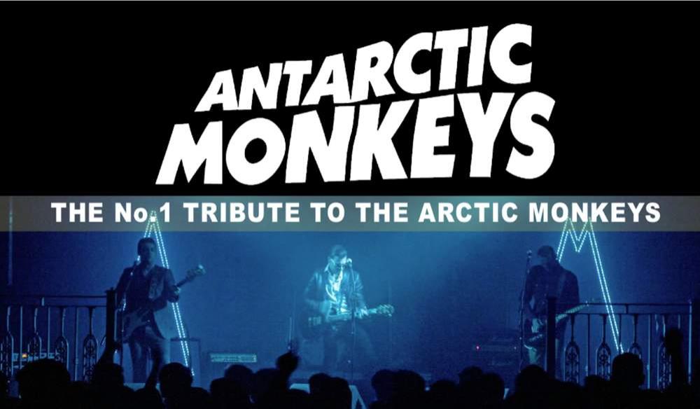 ARCTIC MONKEYS NIGHT! With the Antarctic Monkeys