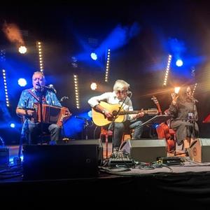 The Albion Christmas Band