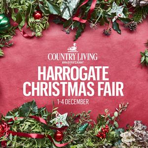 Country Living Magazine Christmas Fair: Luxe VIP