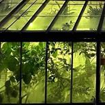 Anti-Valentines Night