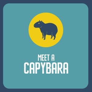 Beale Wildlife Park - Meet The Capybaras