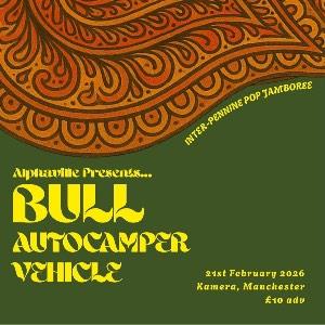 Bull, Autocamper and Vehicle