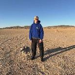 DEAR NORA + TAI HAF HEB DRIGOLYN