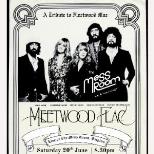 Meetwood Flac - A Weekend  of Fleetwood Mac Live