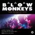 The Blow Monkeys 'Career Retrospective' Concert