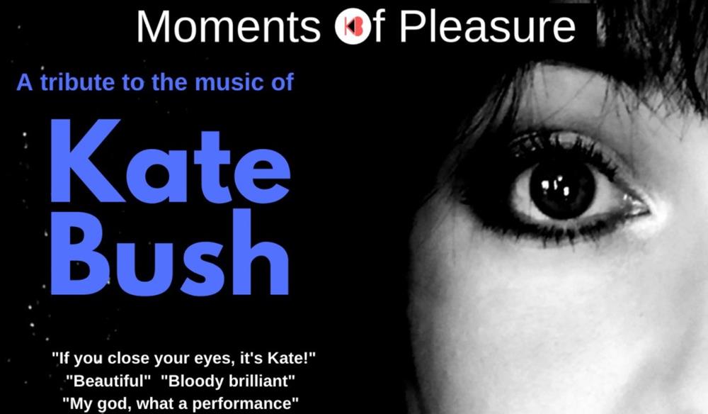 Moments of Pleasure: the music of Kate Bush
