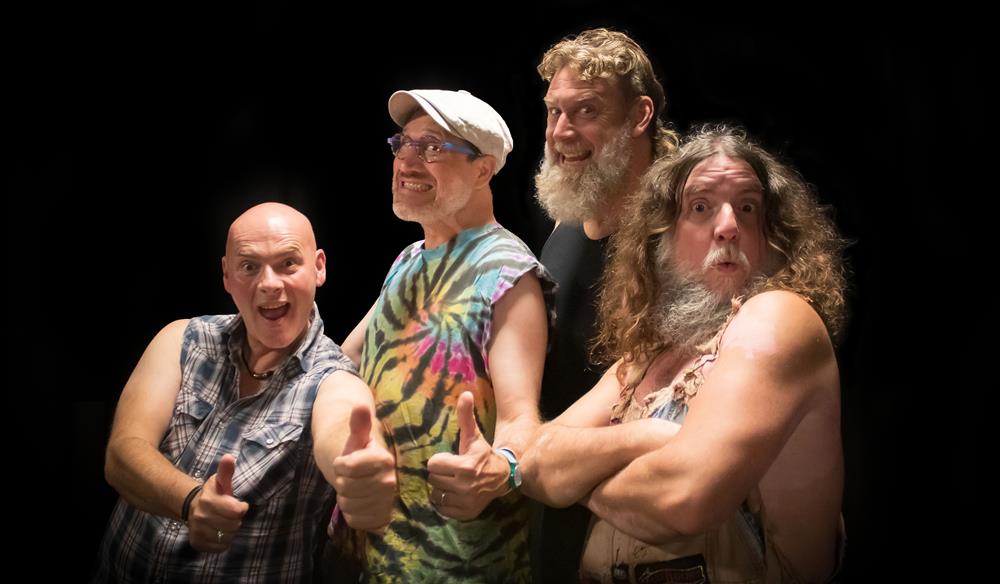 Hayseed Dixie