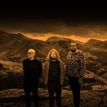 Alpha Male Tea Party