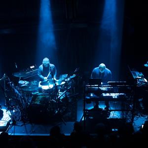 The Bays Live