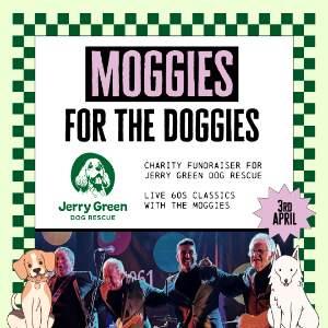 Moggies for the Doggies