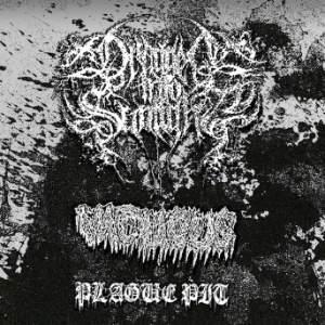 Dragged Into Sunlight