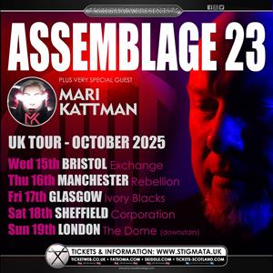 Assemblage