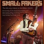 SMALL FAKERS
