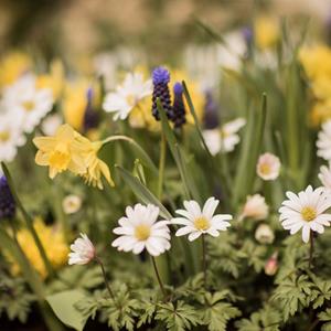 Know & Grow: Spring into Gardening