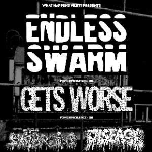 ENDLESS SWARM / GETS WORSE