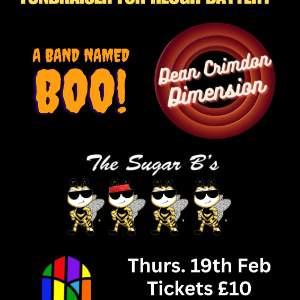 Gig for Victory: Fundraiser