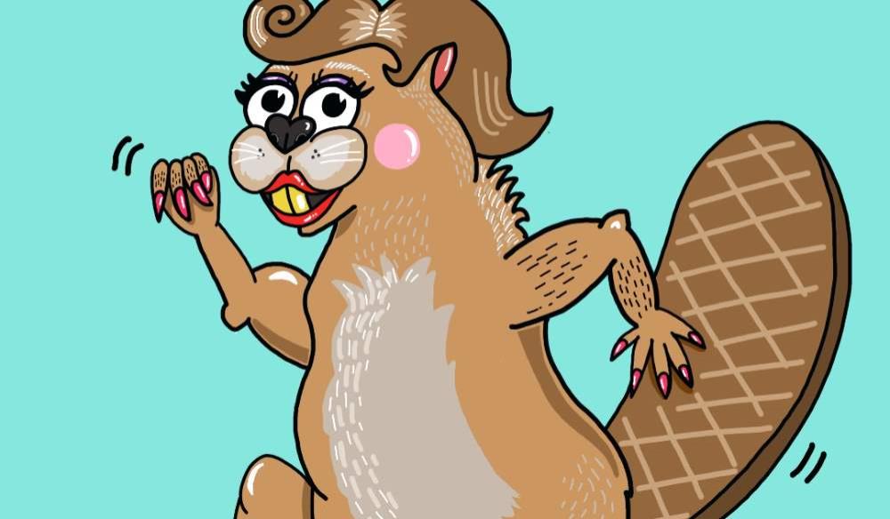 Grey Beaver