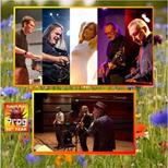 The Far Meadow + Dominic Sanderson