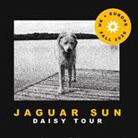 Jaguar Sun