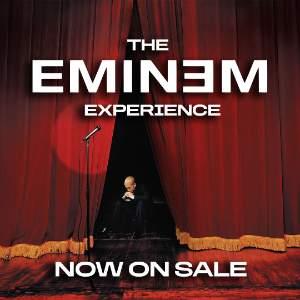 The Eminem Experience