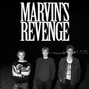 Marvin's Revenge